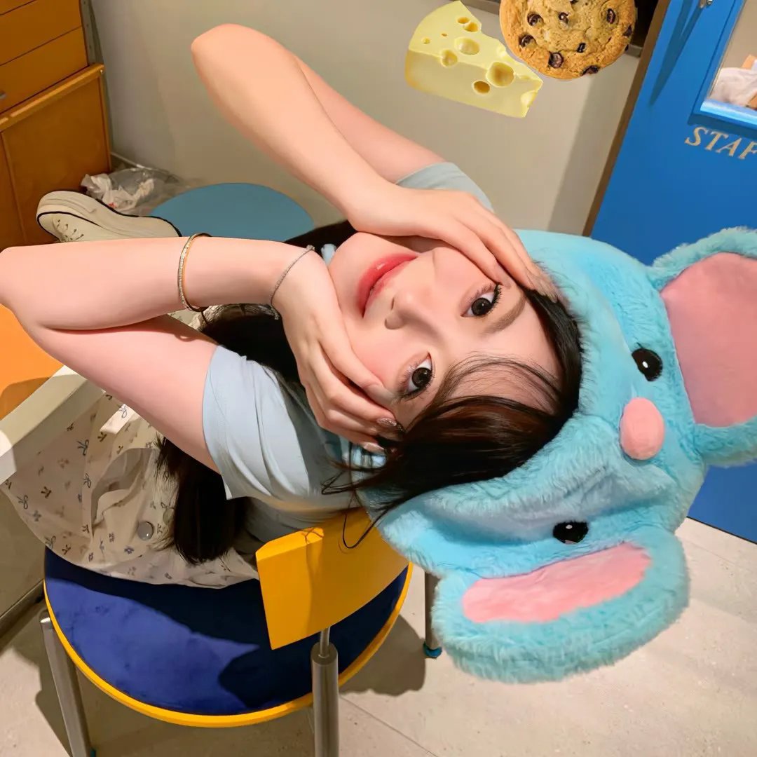 狐狸女士第二季 在线观看封面